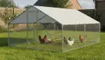 Das perfekte Hühnergehege gestalten