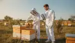 Imkeranzug Arten: Schutz und Komfort