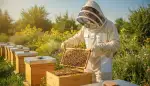 Imkerkleidung: Sicher und bequem im Bienenstock