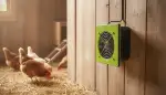 Optimale Hühnerstall Belüftung: Gesundes Klima