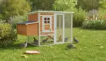 Wachtelvoliere selber bauen: Ein Leitfaden