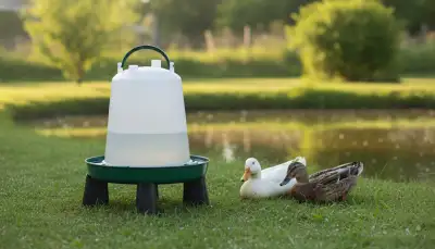 Artgerechte Wasserstellen für Wassergeflügel