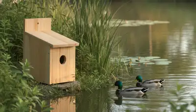 Enten Nistkasten selbst gebaut