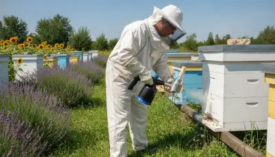 Sicher Verdampfen: Oxalsäure in der Imkerei