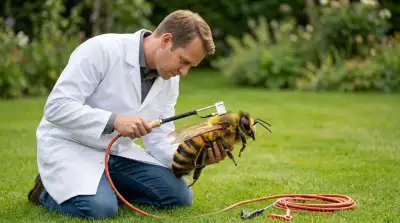 Die 8 besten Oxalsäure Verdampfer im Vergleich (August 2026)